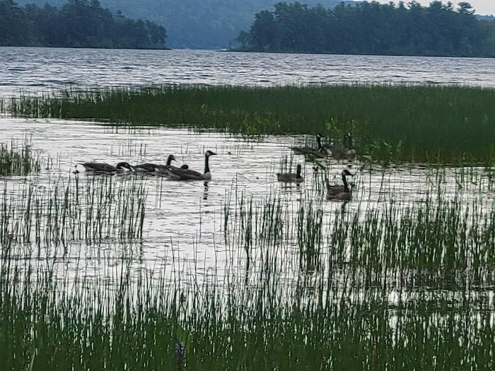 Androscoggin Lake Campground Picture 1