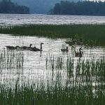 Androscoggin Lake Campground