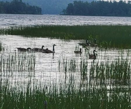 Androscoggin Lake Campground