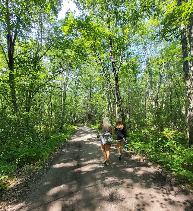 Androscoggin Lake Campground Picture 5