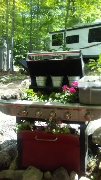 More To Life Family Campground Picture 5