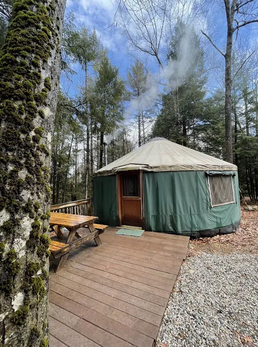 Maine Forest Yurts Picture 3