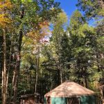 Maine Forest Yurts