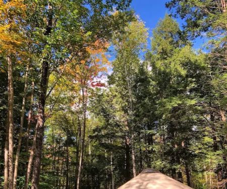 Maine Forest Yurts