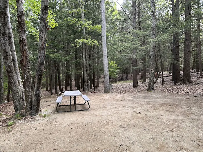 White's Beach & Campground, Inc. Picture 10