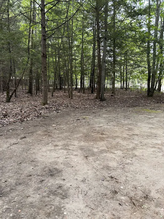 White's Beach & Campground, Inc. Picture 2