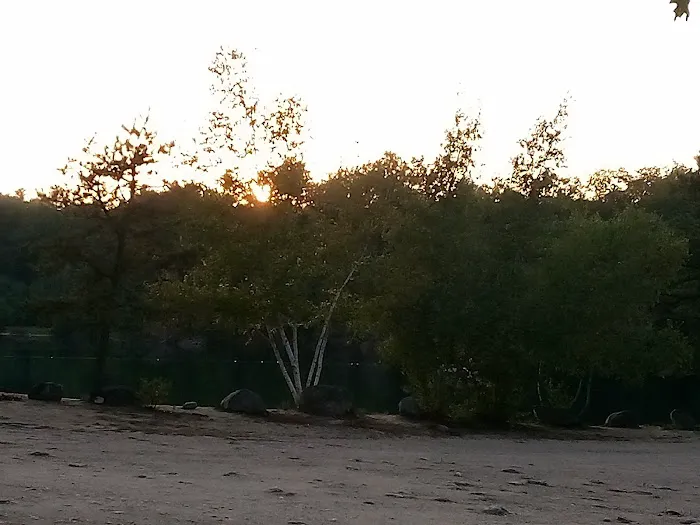 White's Beach & Campground, Inc. Picture 8