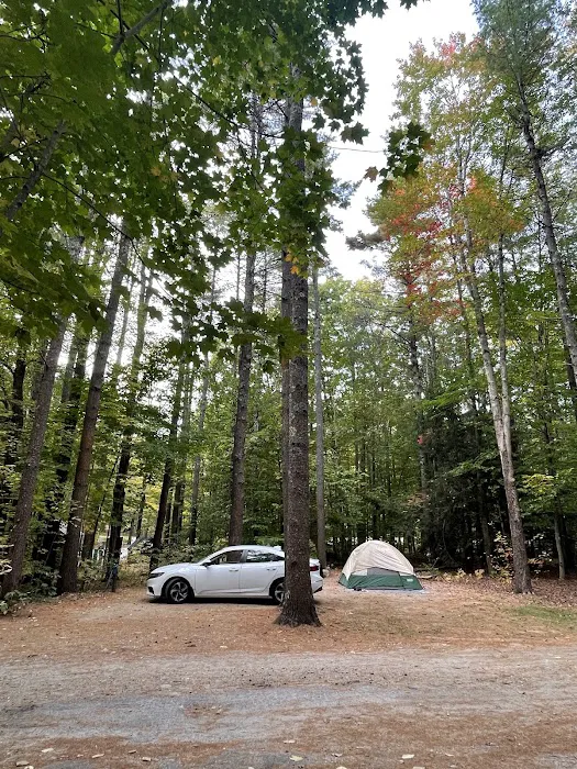 Bradbury Mountain State Park Campground Picture 4