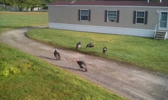 Cathance Trailer Park Picture 3