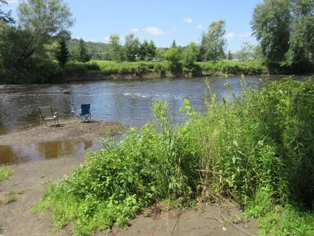 Champion Meadow Campground Picture 8
