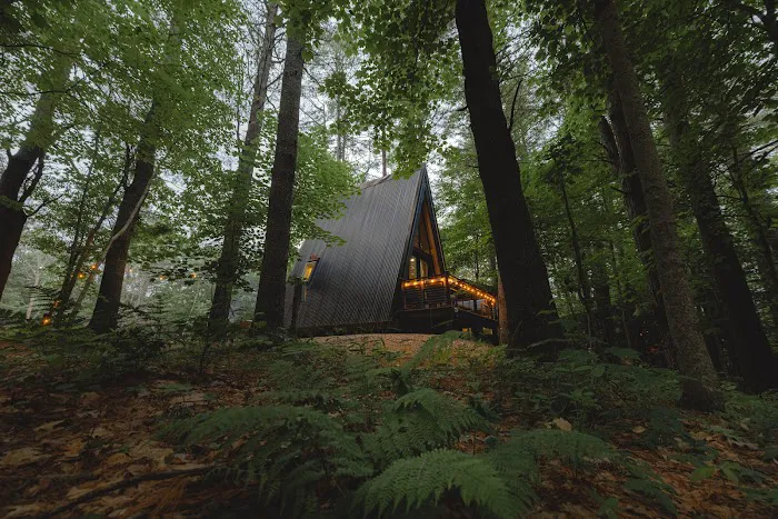 Desert of Maine - Cabins & Glamping Picture 3