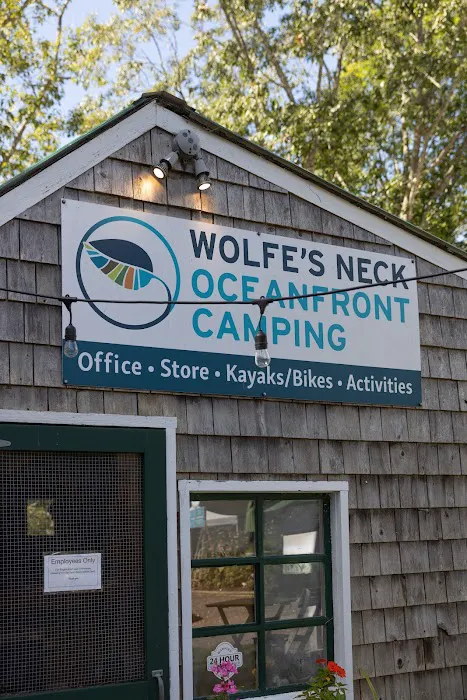 Wolfe's Neck Oceanfront Camping Picture 7