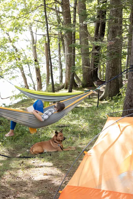 Wolfe's Neck Oceanfront Camping Picture 2