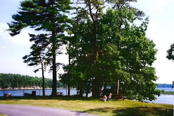 Thomas Point Beach & Campground Picture 7