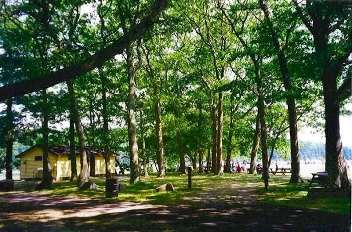 Thomas Point Beach & Campground Picture 3