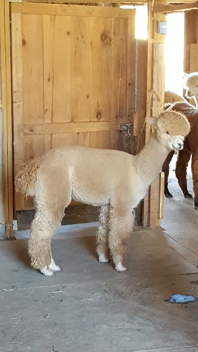 Sandy River Camping Picture 8