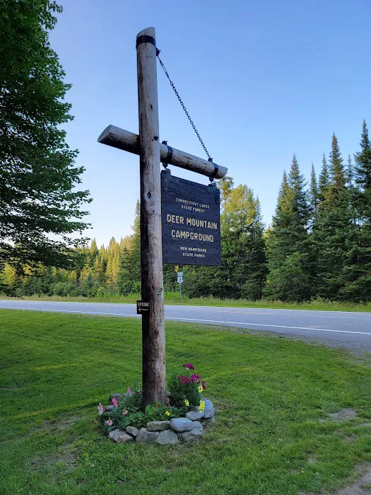 Deer Mountain Campground Picture 9