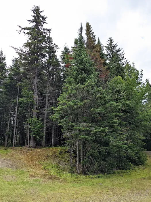 Deer Mountain Campground Picture 7