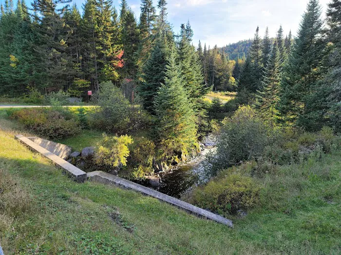 Deer Mountain Campground Picture 5