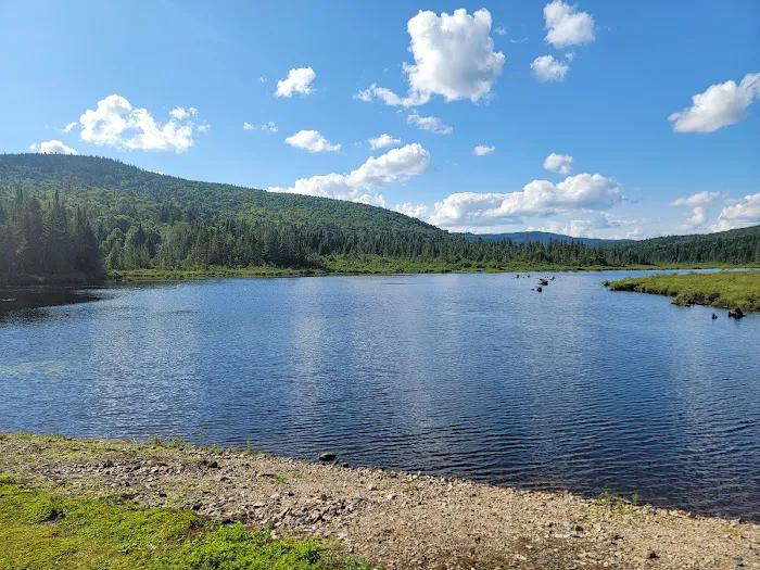 Deer Mountain Campground Picture 3