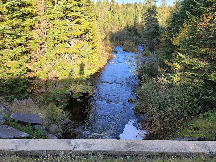 Deer Mountain Campground Picture 10