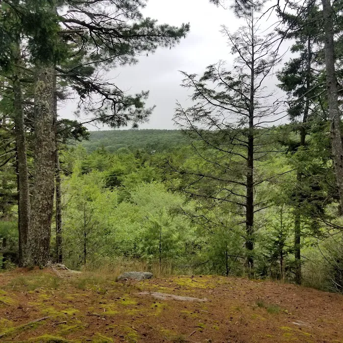 Meadowbrook Camping Area Picture 5