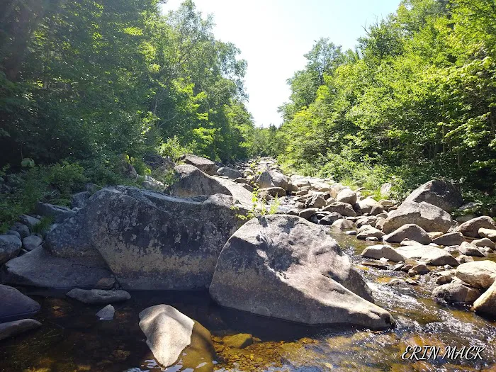 AT Campsite Picture 1