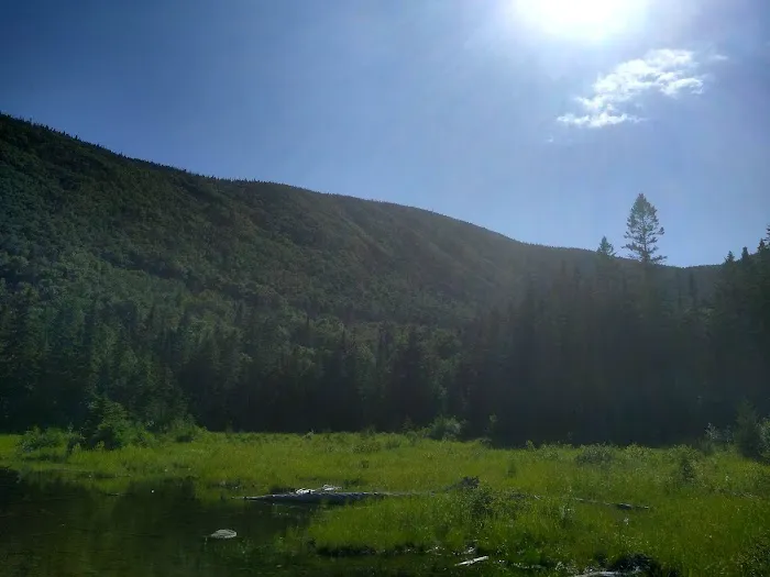 Crocker Mountain Cirque Campground Picture 9