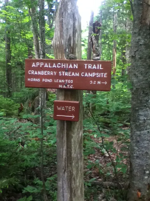 Cranberry Stream Campsite Picture 4