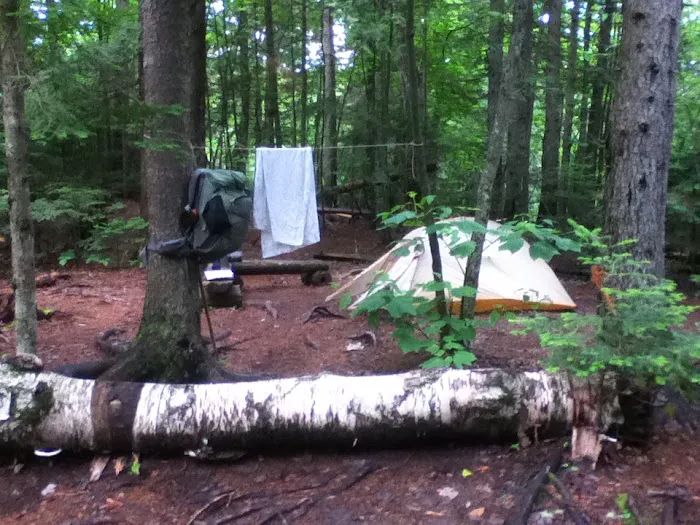 Cranberry Stream Campsite Picture 6