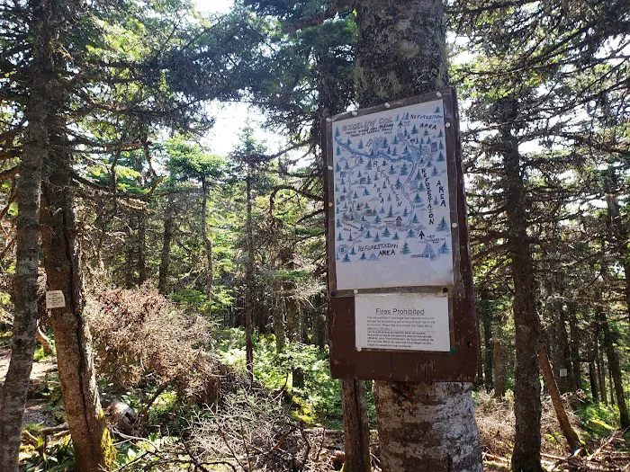 Bigelow Col Campsite 2010.7 Picture 9