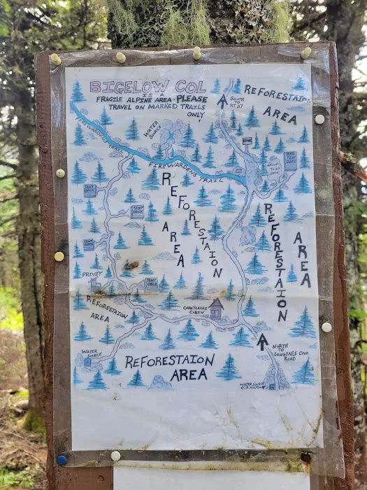 Bigelow Col Campsite 2010.7 Picture 7