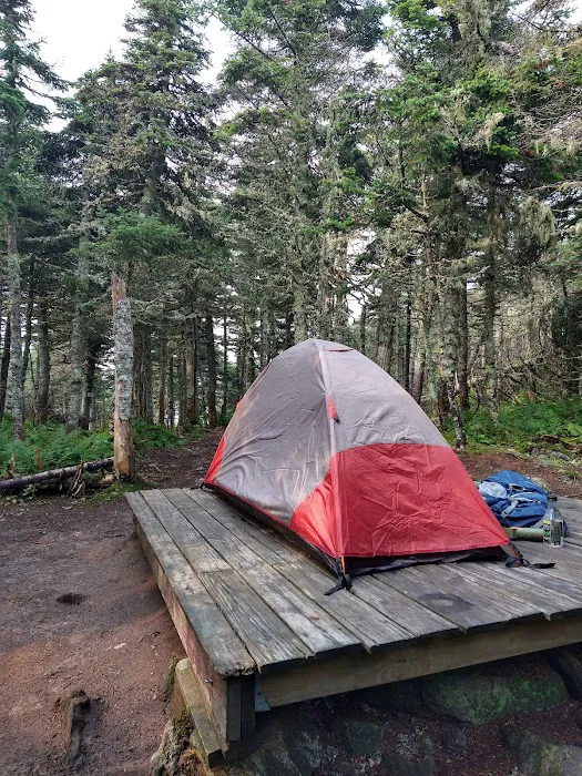 Bigelow Col Campsite 2010.7 Picture 2