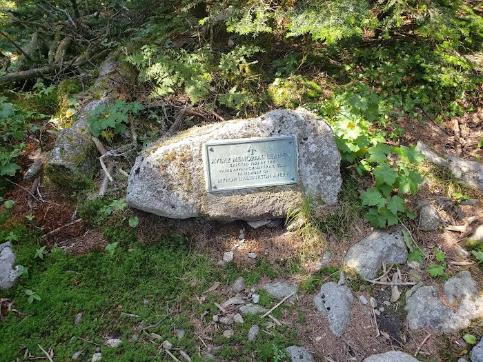 Bigelow Col Campsite 2010.7 Picture 8