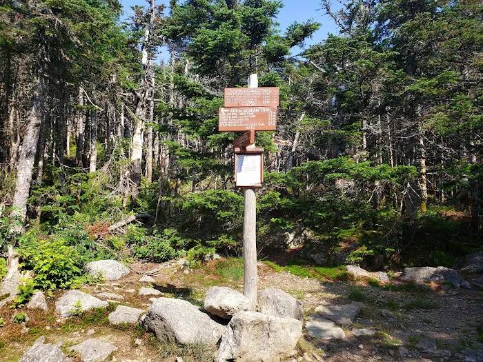 Bigelow Col Campsite 2010.7 Picture 5