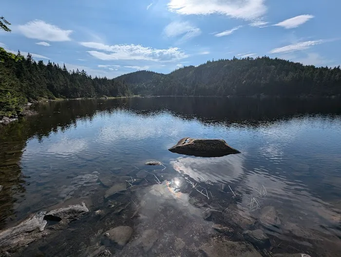 Horn Pond Campsite Picture 7
