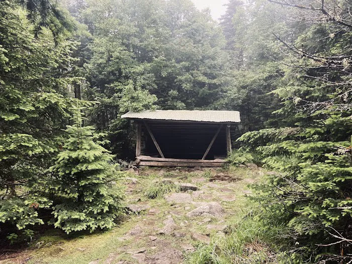 Horn Pond Campsite Picture 6