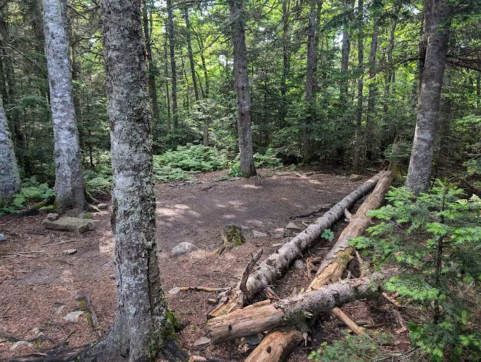 Horn Pond Campsite Picture 10