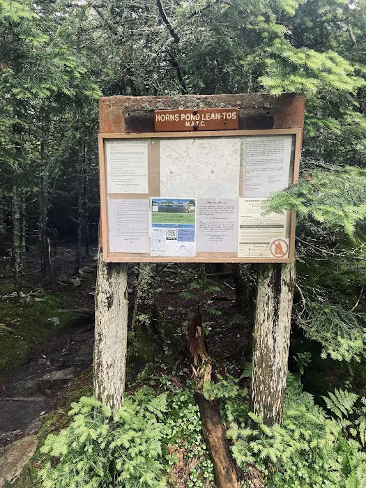 Horn Pond Campsite Picture 4
