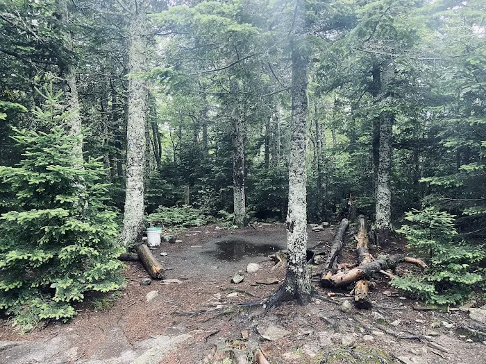 Horn Pond Campsite Picture 9