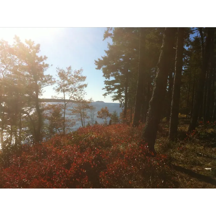 Sagadahoc Bay Campground Picture 2