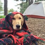 Sagadahoc Bay Campground