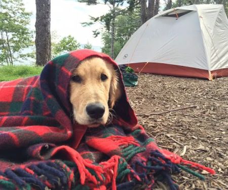 Sagadahoc Bay Campground