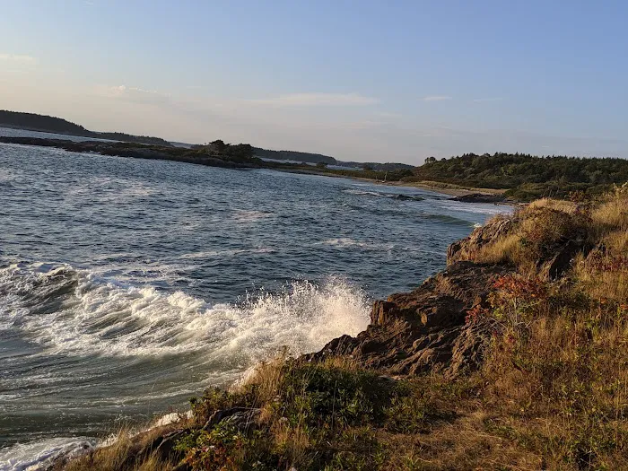 Hermit Island Campground Picture 10
