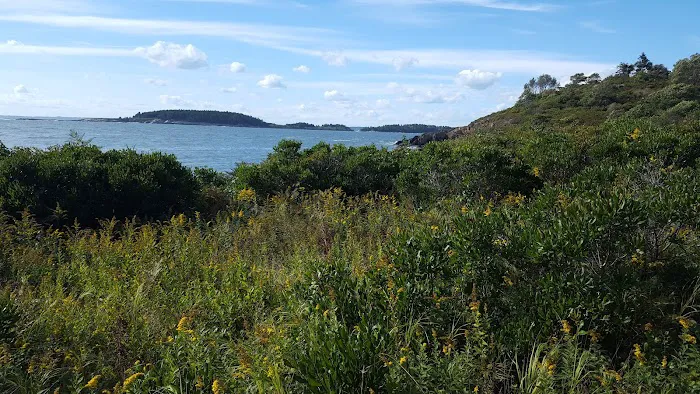 Hermit Island Campground Picture 7