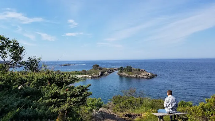 Hermit Island Campground Picture 4