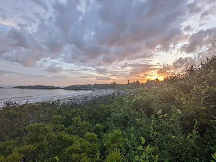 Hermit Island Campground Picture 6