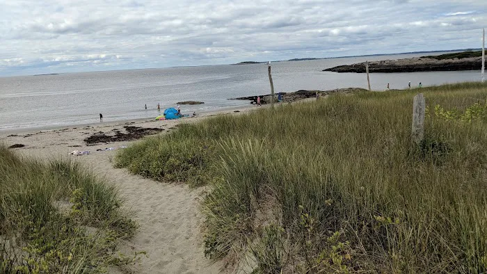 Hermit Island Campground Picture 2
