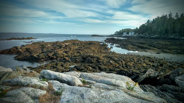 Gray Homestead Oceanfront Camping Picture 7