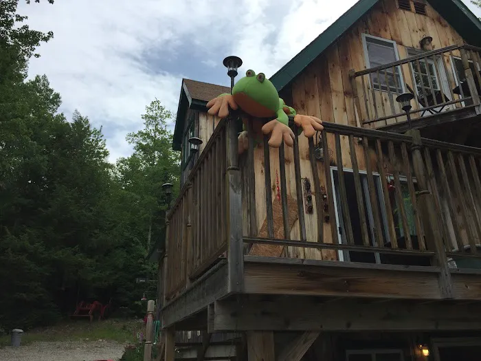 Bullfrog Adventures Picture 2